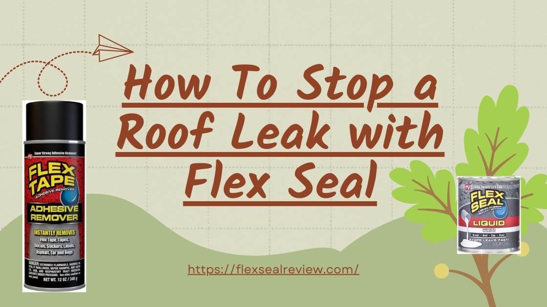 How To Stop a Roof Leak with Flex Seal